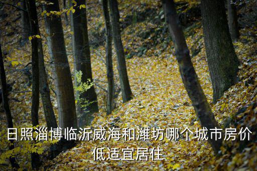 日照淄博臨沂威海和濰坊哪個城市房價低適宜居住