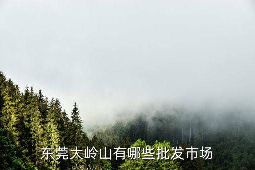 東莞大嶺山有哪些批發(fā)市場