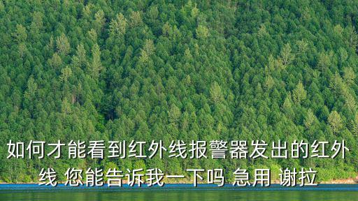 如何才能看到紅外線報警器發出的紅外線 您能告訴我一下嗎 急用 謝拉