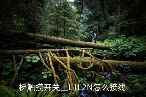 梯觸摸開(kāi)關(guān)上L1L2N怎么接線