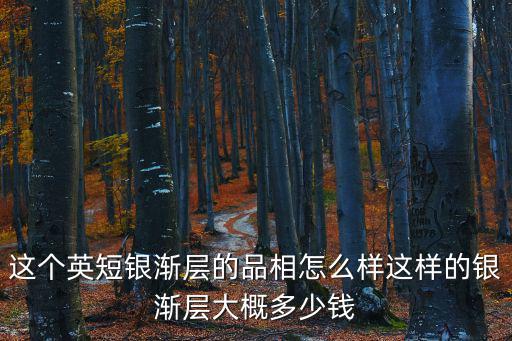 這個英短銀漸層的品相怎么樣這樣的銀漸層大概多少錢