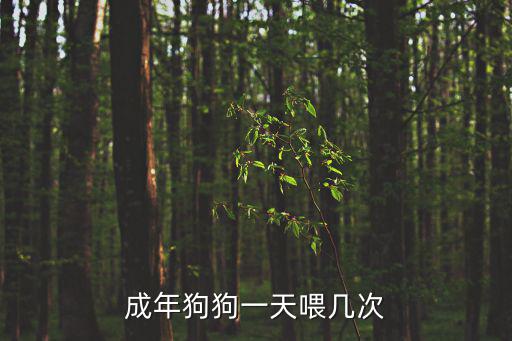 成年狗狗一天喂幾次