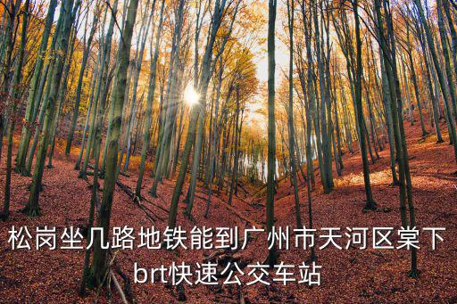 廣州到松崗地鐵有嗎，在深圳松崗坐地鐵能到廣州嗎
