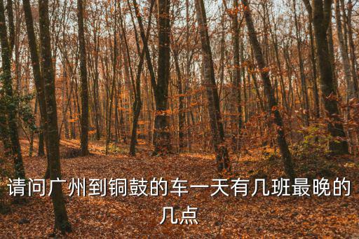 請問廣州到銅鼓的車一天有幾班最晚的幾點