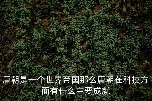 深圳金轅科技公司，唐宋時期的主要科技成就有哪些
