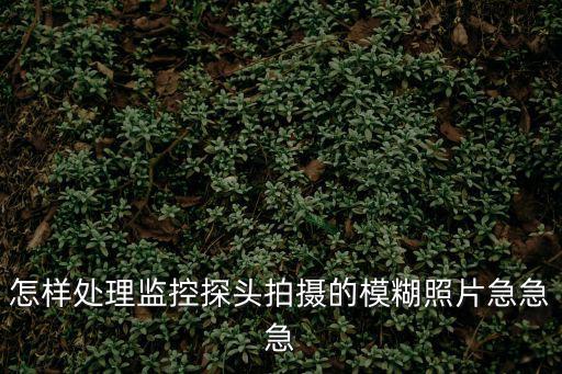 怎樣處理監(jiān)控探頭拍攝的模糊照片急急急