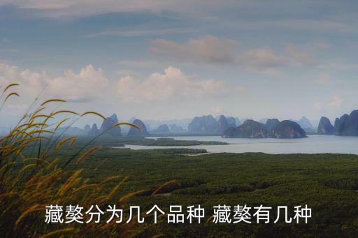 藏獒分為幾個(gè)品種 藏獒有幾種