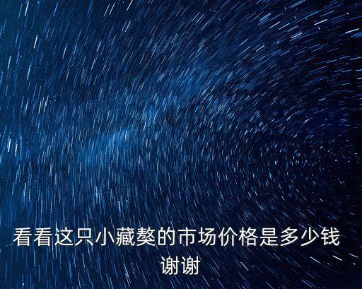 看看這只小藏獒的市場價格是多少錢 謝謝