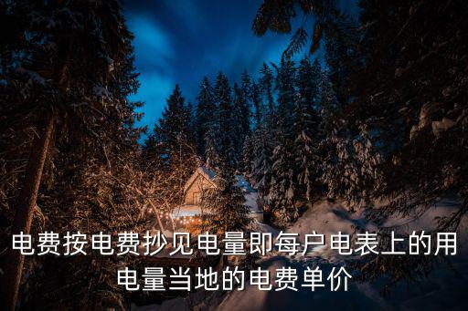 電費按電費抄見電量即每戶電表上的用電量當?shù)氐碾娰M單價