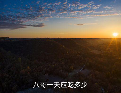 八哥一天應(yīng)吃多少