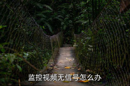 監(jiān)控視頻無信號怎么辦