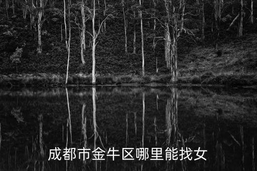 成都市金牛區(qū)張家巷美女，成都市金牛區(qū)哪里能找女