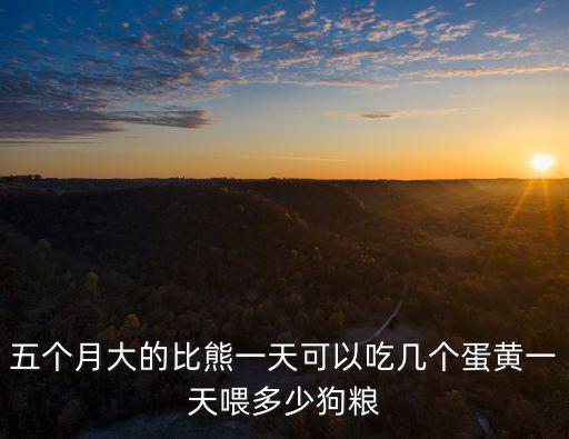 五個月大的比熊一天可以吃幾個蛋黃一天喂多少狗糧