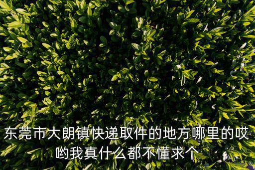 東莞市大朗鎮(zhèn)快遞取件的地方哪里的哎喲我真什么都不懂求個