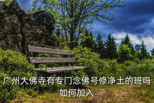 廣州大佛寺誦經(jīng)，廣州哪里可以祈福念經(jīng)