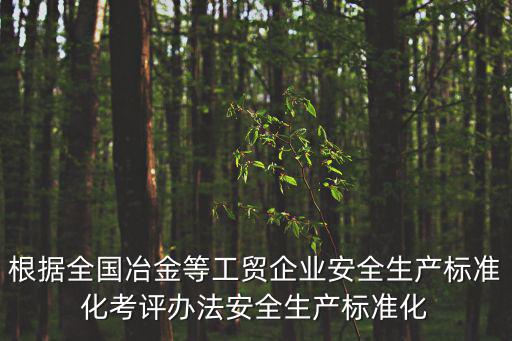 根據(jù)全國(guó)冶金等工貿(mào)企業(yè)安全生產(chǎn)標(biāo)準(zhǔn)化考評(píng)辦法安全生產(chǎn)標(biāo)準(zhǔn)化