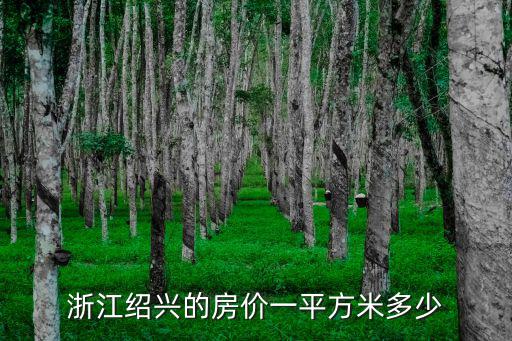 紹興房價如何，紹興市越城區現在房價大概多少