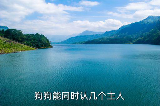 狗狗能同時認幾個主人
