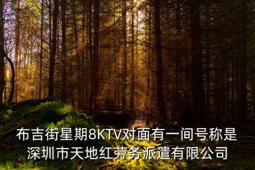 布吉街星期8KTV對面有一間號稱是深圳市天地紅勞務(wù)派遣有限公司