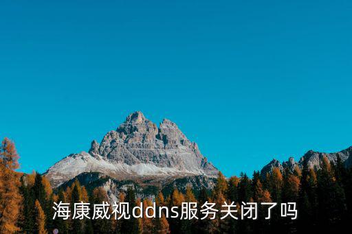 ?？低昫dns服務關閉了嗎