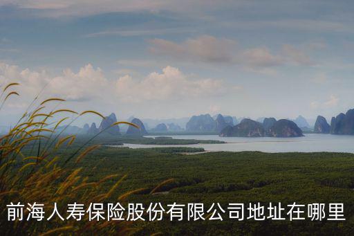 深圳市前海人壽保險公司，前海人壽保險WWWforeseaIifecom