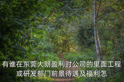 有誰在東莞大朗盈利時公司的里面工程或研發部門前景待遇及福利怎