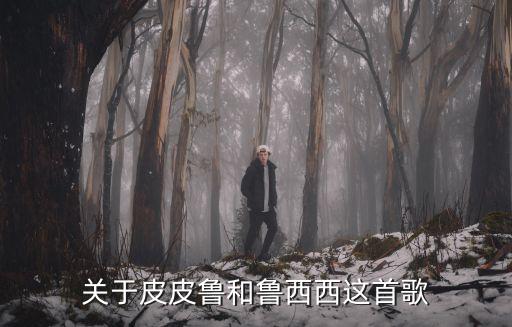 關于皮皮魯和魯西西這首歌