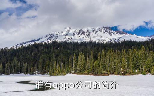 誰有oppo公司的簡介