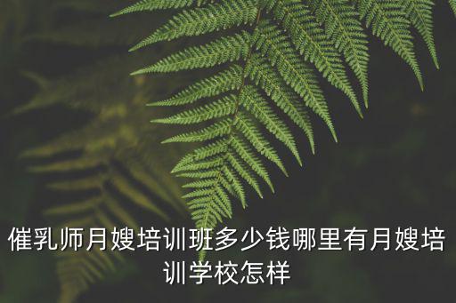 催乳師月嫂培訓班多少錢哪里有月嫂培訓學校怎樣