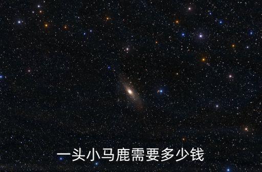 一頭小馬鹿需要多少錢