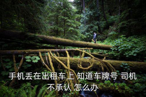 手機丟在出租車上 知道車牌號 司機不承認 怎么辦