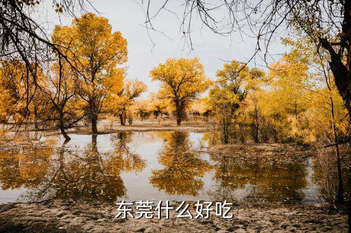東莞什么好吃