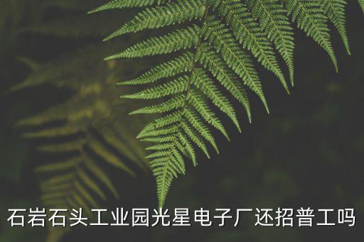 石巖石頭工業園光星電子廠還招普工嗎