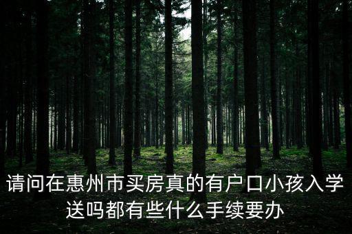 請問在惠州市買房真的有戶口小孩入學(xué)送嗎都有些什么手續(xù)要辦