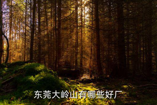 東莞大嶺山有哪些好廠