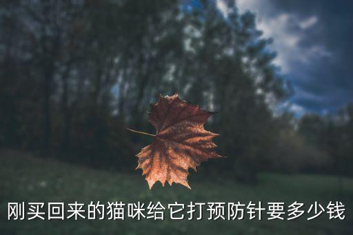 剛買回來的貓咪給它打預(yù)防針要多少錢