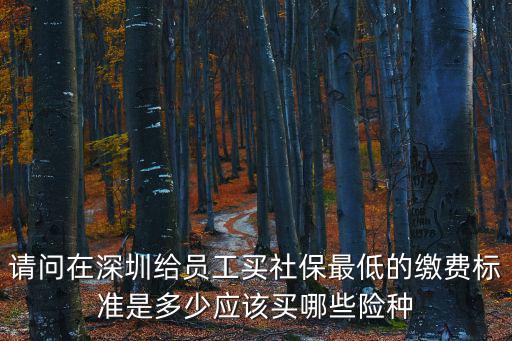 請問在深圳給員工買社保最低的繳費標準是多少應該買哪些險種