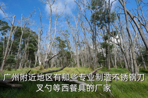 廣州附近地區(qū)有那些專(zhuān)業(yè)制造不銹鋼刀叉勺等西餐具的廠家