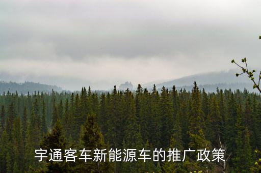 宇通客車新能源車的推廣政策