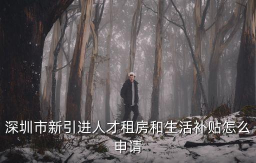 深圳市新引進人才租房和生活補貼怎么申請