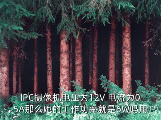IPC攝像機(jī)電壓為12V 電流為05A那么她的工作功率就是6W嗎用