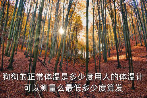 狗狗的正常體溫是多少度用人的體溫計可以測量么最低多少度算發