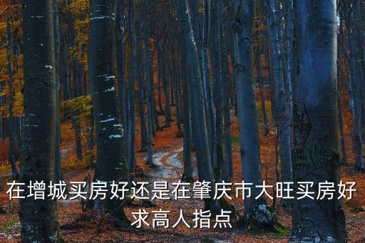 在增城買房好還是在肇慶市大旺買房好求高人指點(diǎn)