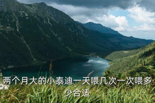 2個月泰迪一次喂多少狗糧，兩個月的泰迪4斤該吃幾顆狗糧有說10顆的 有說2030顆的 到底是幾