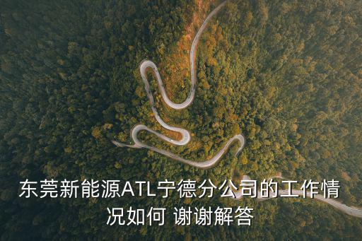 東莞新能源ATL寧德分公司的工作情況如何 謝謝解答