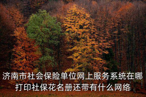 濟南市社會保險單位網上服務系統在哪打印社保花名冊還帶有什么網絡
