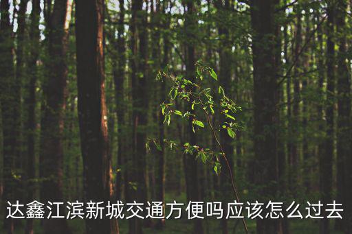 達鑫江濱新城交通方便嗎應該怎么過去
