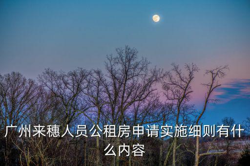 廣州來穗人員公租房申請實施細則有什么內容