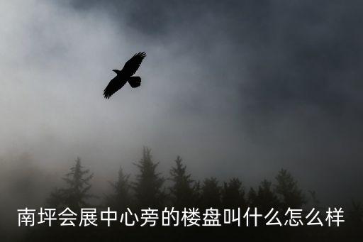 南坪會展中心旁的樓盤叫什么怎么樣