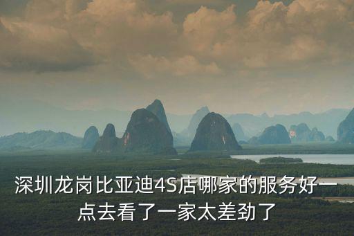 深圳龍崗比亞迪4S店哪家的服務好一點去看了一家太差勁了